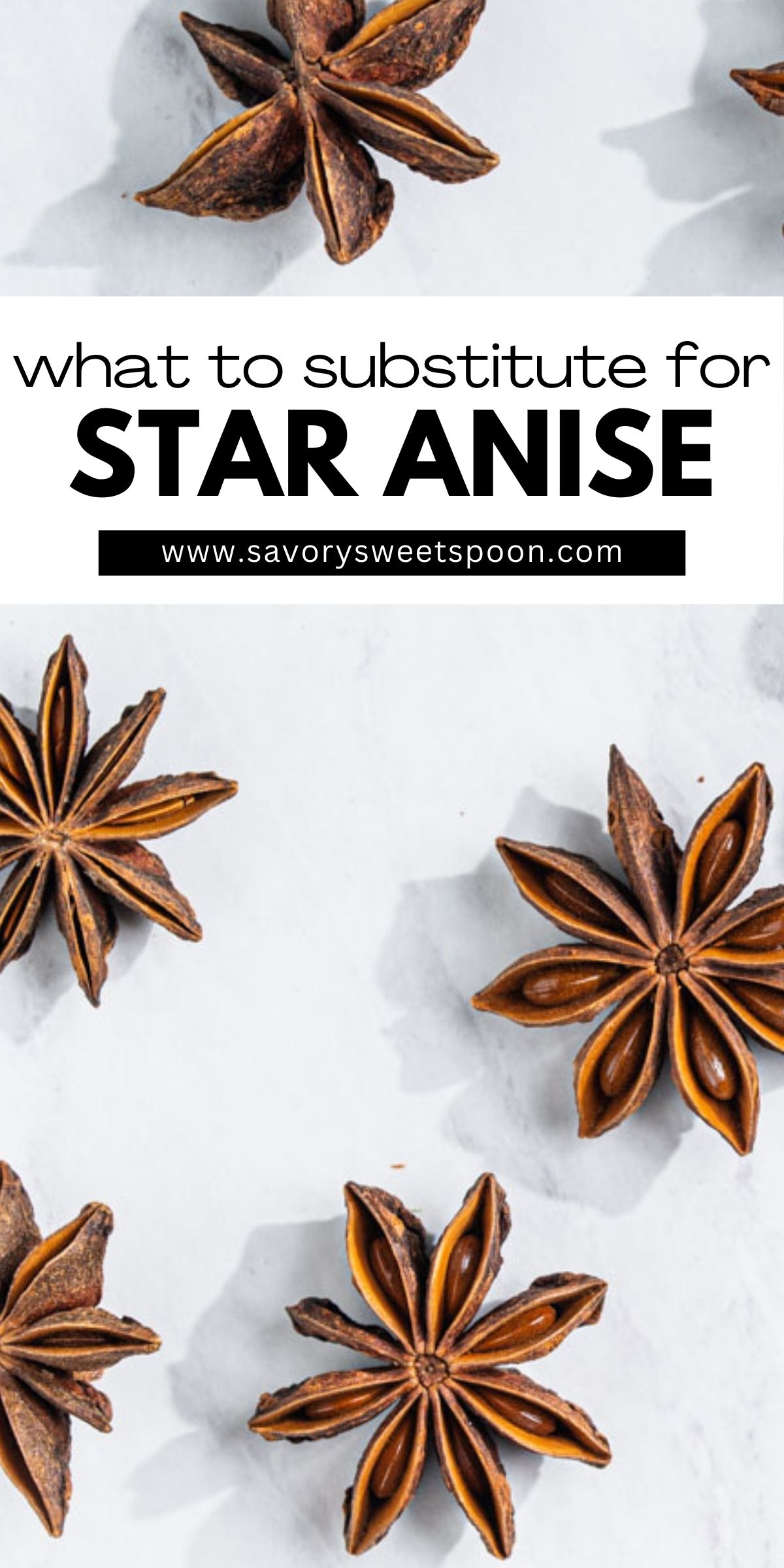 Star Anise Substitute Savory Sweet Spoon