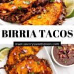 plate of birria tacos.